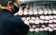 آغاز توزیع مرغ ۴۵ هزار تومانی در بازار