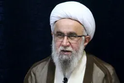 نگرانی عضو مجلس خبرگان رهبری از گرایش جوانان به سمت موسیقی‌های مبتذل /دشمنان می خواهند نسل جوان را نسبت به روحانیت بدبین کنند