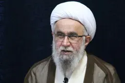 نگرانی عضو مجلس خبرگان رهبری از گرایش جوانان به سمت موسیقی‌های مبتذل /دشمنان می خواهند نسل جوان را نسبت به روحانیت بدبین کنند