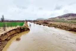 وقتی همه به دیدار  رود می‌آیند