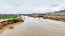 وقتی همه به دیدار  رود می‌آیند