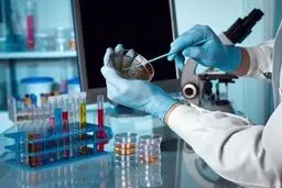 چگونه به اطلاعات پژوهشی علوم پزشکی دسترسی پیدا کنیم؟

