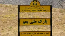 بزرگترین عقاب ایران در چه وضعیتی است ؟ + ویدئو 
