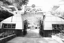 صندوق‌های شیرده