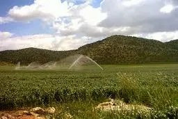 مصائب کشاورزی