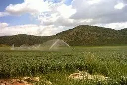 مصائب کشاورزی