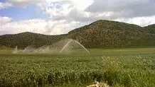 مصائب کشاورزی