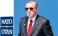 اردوغان سد راه ناتو