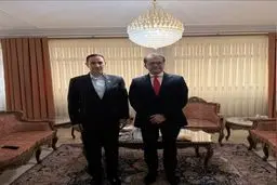 رایزنی سفرای پاکستان و عمان در تهران حول محور آخرین تحولات منطقه