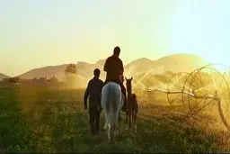 در زندگی افراد مبتلا به سندروم دان چه می گذرد؟ 
