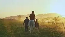 در زندگی افراد مبتلا به سندروم دان چه می گذرد؟ 