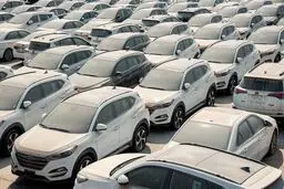 آغاز مرحله دوم مزایده خودروهای خارجی از 26 مهرماه