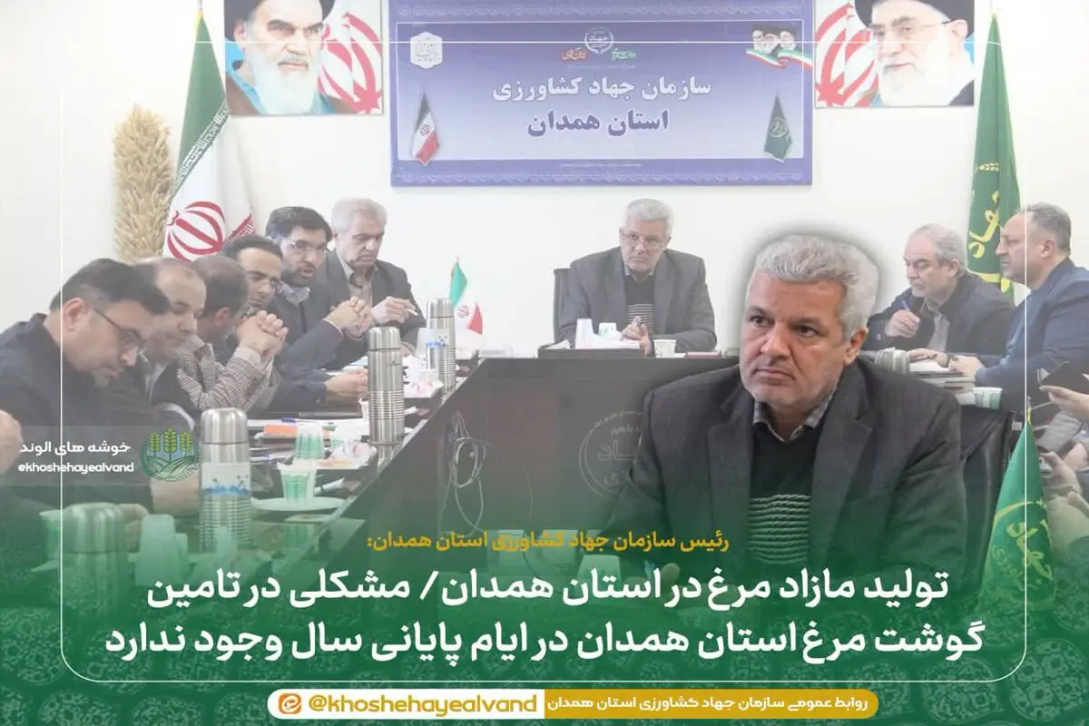 مشکلی در تامین گوشت مرغ استان همدان در ایام پایانی سال وجود ندارد
