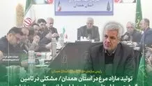 مشکلی در تامین گوشت مرغ استان همدان در ایام پایانی سال وجود ندارد