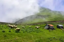 مناظر سوئیسی شمال ایران + قیمت اجاره کلبه سوئیسی