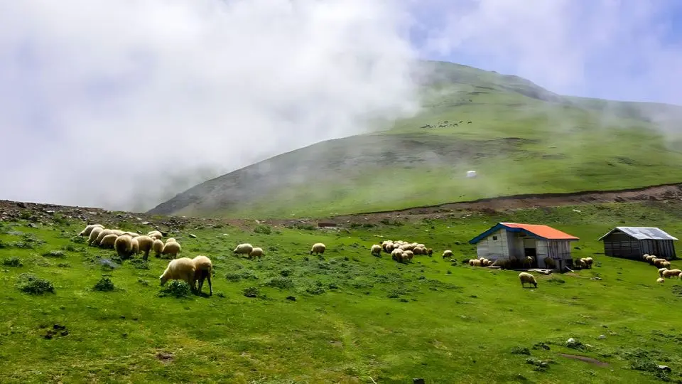 مناظر سوئیسی شمال ایران + قیمت اجاره کلبه سوئیسی