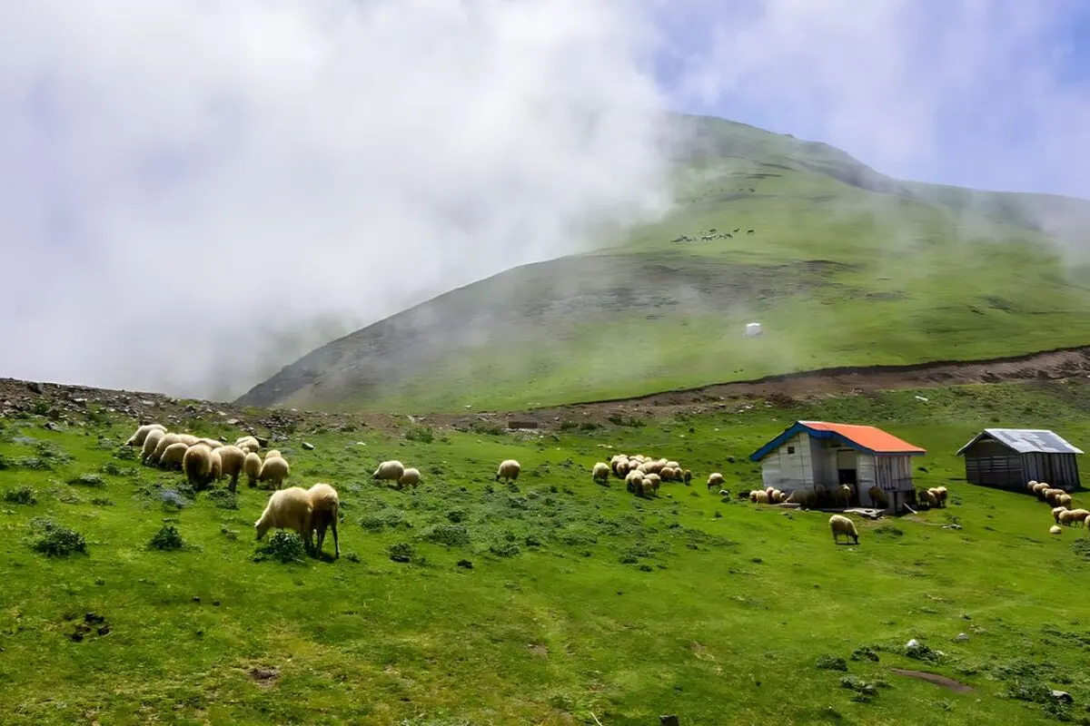 مناظر سوئیسی شمال ایران + قیمت اجاره کلبه سوئیسی