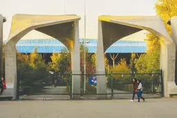 هزاران افسوس برای یک خودکشی

