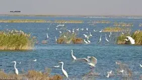 پنج اسطوره بر بالین هورالعظیم
