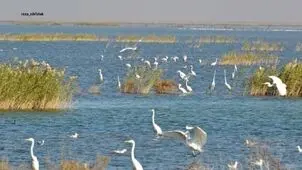 پنج اسطوره بر بالین هورالعظیم
