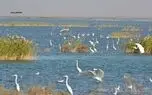 پنج اسطوره بر بالین هورالعظیم
