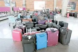  استخدام ۱۲ وکیل برای تهدید شاکیان به دیپورت
