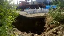 مانیفست هنری از دل آب

