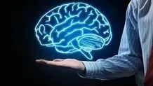 آلزایمر را دور بزنید؛ نسخه طبیعی در میوه‌فروشی‌هاست