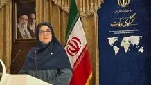 مهاجرانی: اعتبار کالابرگ افزایش پیدا می‌کند/ ممنوعیت پروازهای ایران مصداق قلدری آمریکاست