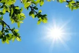 پیش بینی هوای کهگیلویه و بویراحمد فردا شنبه 10 خرداد