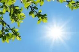 پیش بینی هوای کهگیلویه و بویراحمد فردا شنبه 10 خرداد