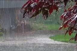  تداوم خشکسالی و کاهش بارش‌ها در مناطق مختلف
