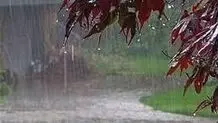 تداوم خشکسالی و کاهش بارش‌ها در مناطق مختلف
