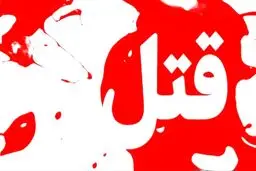 دلیل اصلی قتل عام خانوادگی وکیل تهرانی چه بود؟

