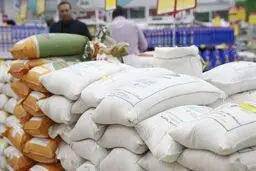 بررسی دلایل گرانی بی‌وقفه برنج  