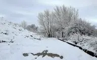 پیش‌بینی هوای زنجان؛ شنبه ۶ بهمن