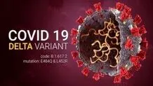 نگرانی از ورود مجدد دلتا به کشور