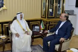 استتباب الأمن والاستقرار فی المنطقة یصب فی صالح جمیع الدول