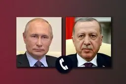 اردوغان: از پوتین حمایت می‌کنیم