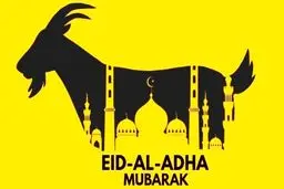 سالن ماساژ گاوها پیش از ذبح شدن در عید قربان/ ویدئو
