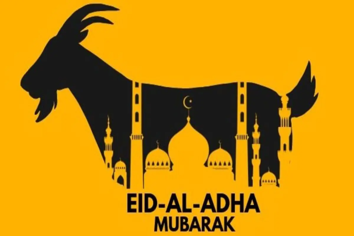 سالن ماساژ گاوها پیش از ذبح شدن در عید قربان/ ویدئو
