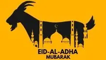 سالن ماساژ گاوها پیش از ذبح شدن در عید قربان/ ویدئو