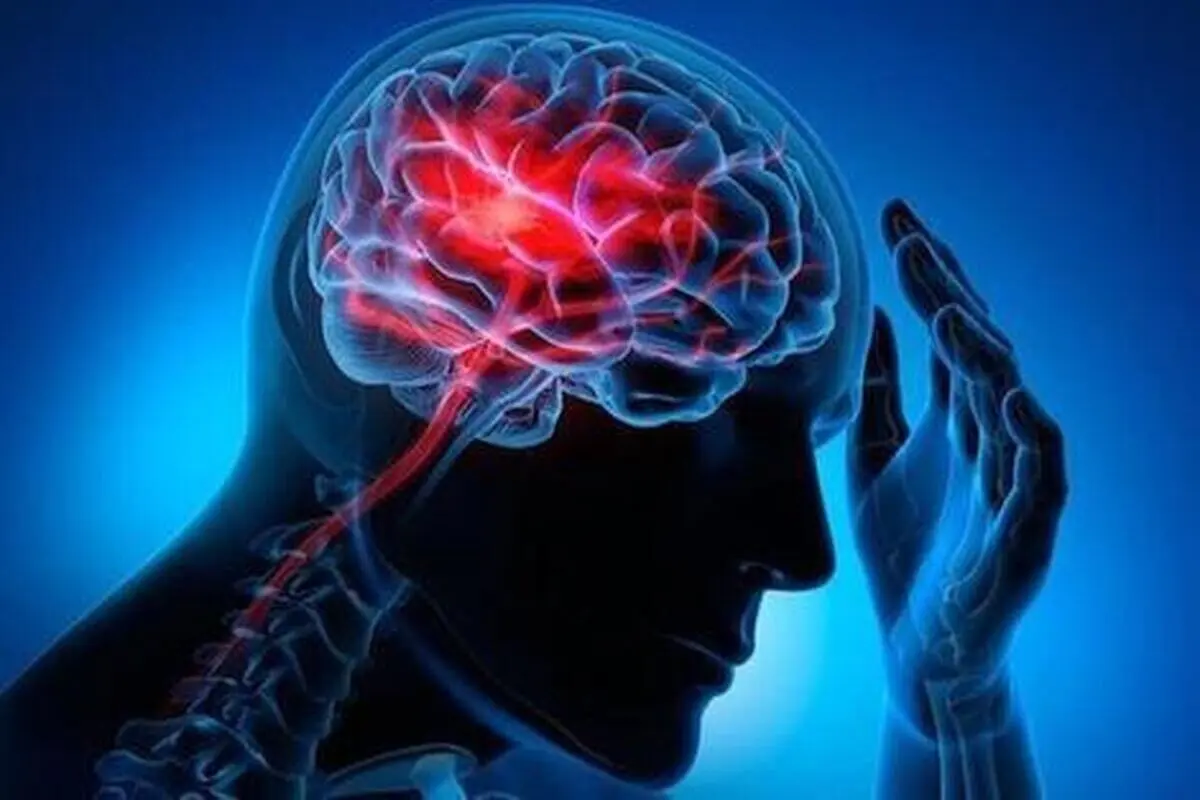  چگونه  از  «پوسیدگی  مغزی» جلوگیری  کنیم؟

