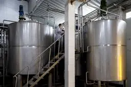 قیمت جهانی لبنیات و مرغ تغییر کرد