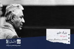 بزرگ علوی، نویسنده، سیاست‌مدار چپ گرا، روزنامه نگار و استاد زبان فارسی ایرانی