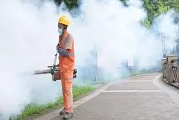 آیا احتمال همه‌گیری ویروس چیکونگونیا  وجود دارد؟ چگونه ۷ هزار چینی کشته شدند  ؟