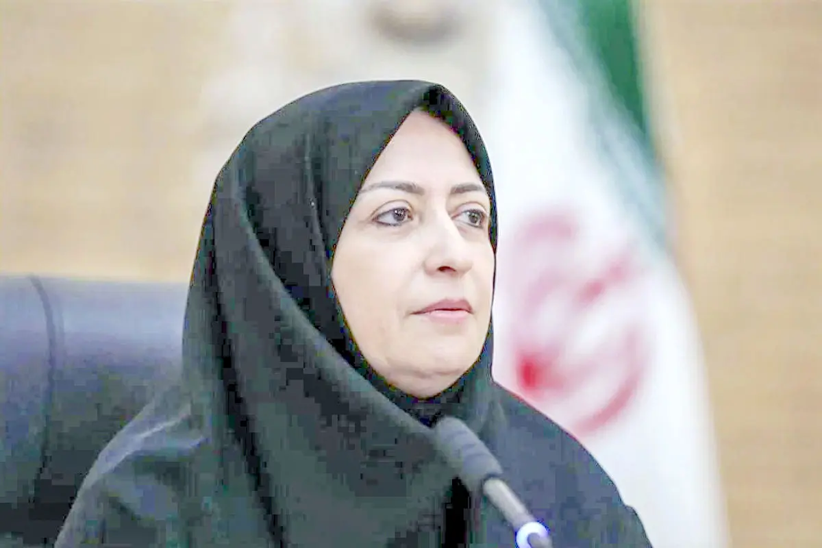 پیشنهاد رئیس سازمان محیط زیست برای تشکیل «شورای حفظ حقوق  محیط ‌زیست»

