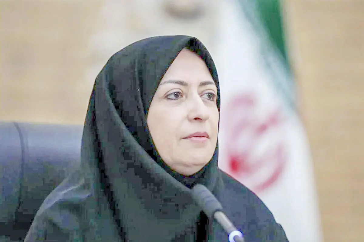 پیشنهاد رئیس سازمان محیط زیست برای تشکیل «شورای حفظ حقوق  محیط ‌زیست»

