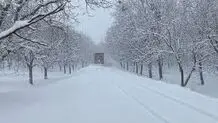 بارش برف در همدان + ویدیو 