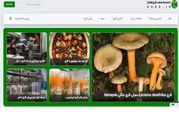 هاگ؛ مرجع فارسی‌زبان قارچ که کمبودش حس می‌شد